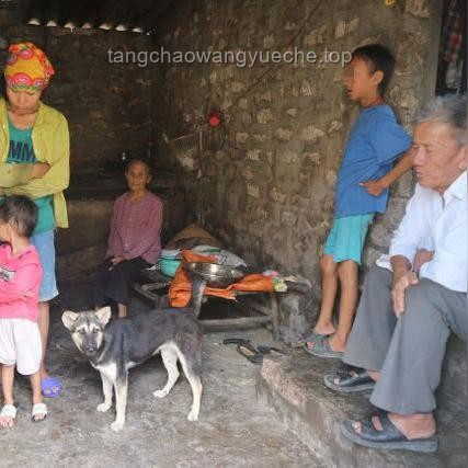 越南废除“两孩”生育限制，行业洞察与未来展望